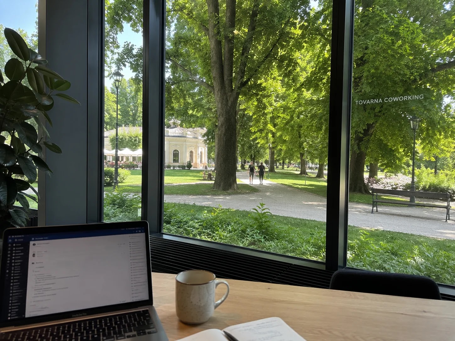 View of Tivoli Park greenery from a coworking window in Ljubljana