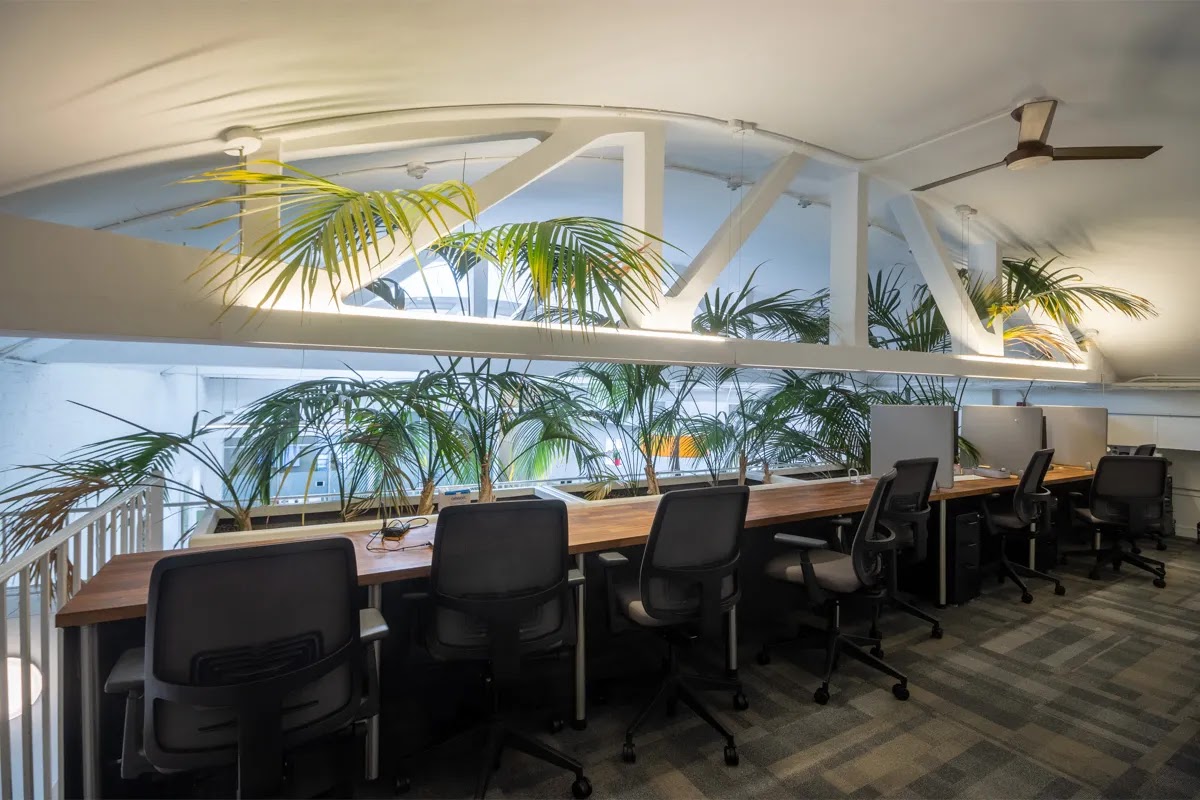 Coworking workstations in a loft space