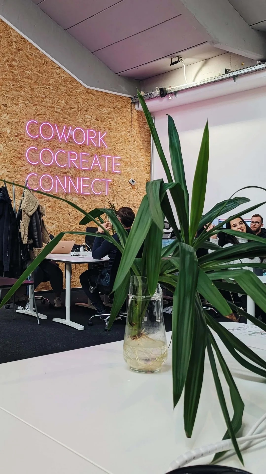 makerSP_CE coworking space with a neon sign in Ljubljana