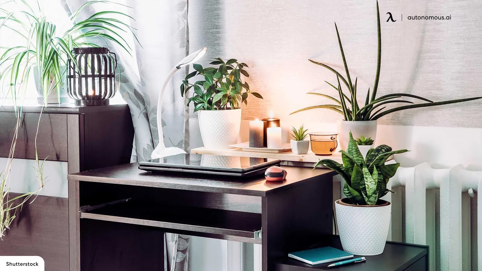 Calm and tidy work environment with plants